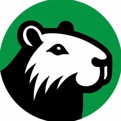 Logo do parceiro CapyFi